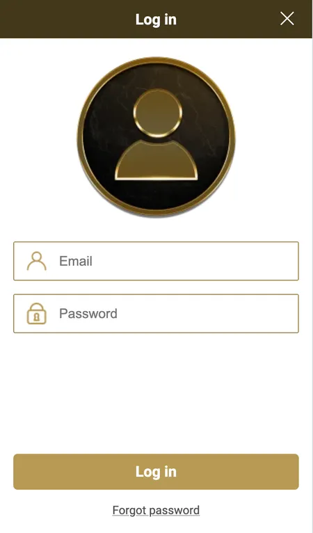 Mega Riches login form on screen