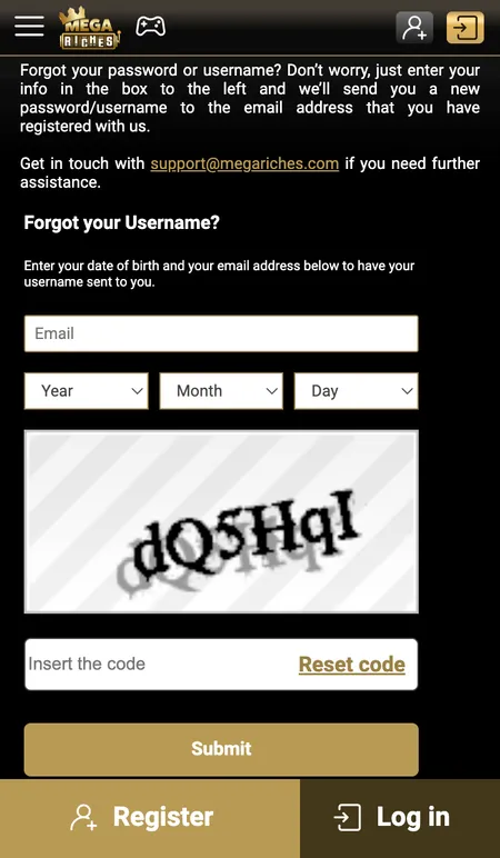 Password reset screen with email field